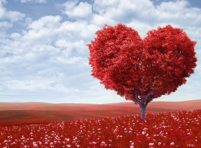 Stock Images love image, heart, 4k, tree, Stock Images 854144632